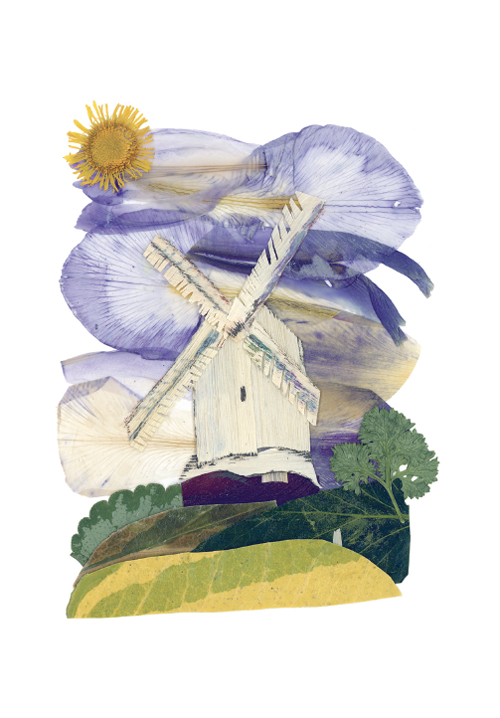 “Jill Windmill” is blank inside for your own message and comes with a premium white envelope wrapped in a cellophane bag. Size: 108x155mm. Click for larger image. Minimum order: 10 (this can be a mix of any of the cards).